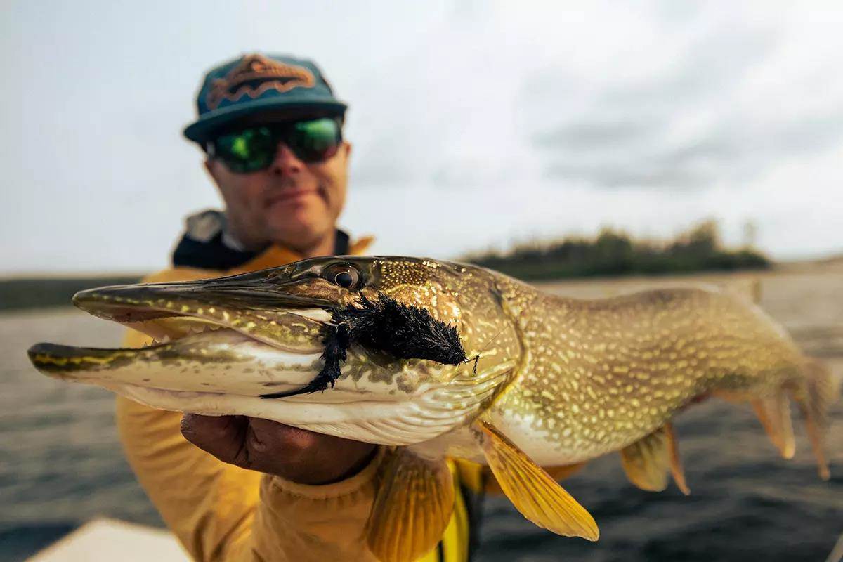 Fly angler Blane Chocklett holding a northern pike close to the camera on open water.