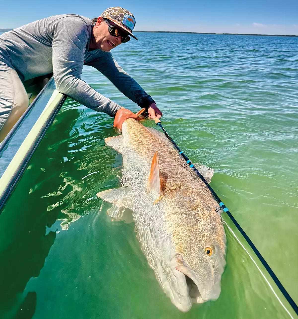 Angler releasing a large redfish from a boat in clear green water