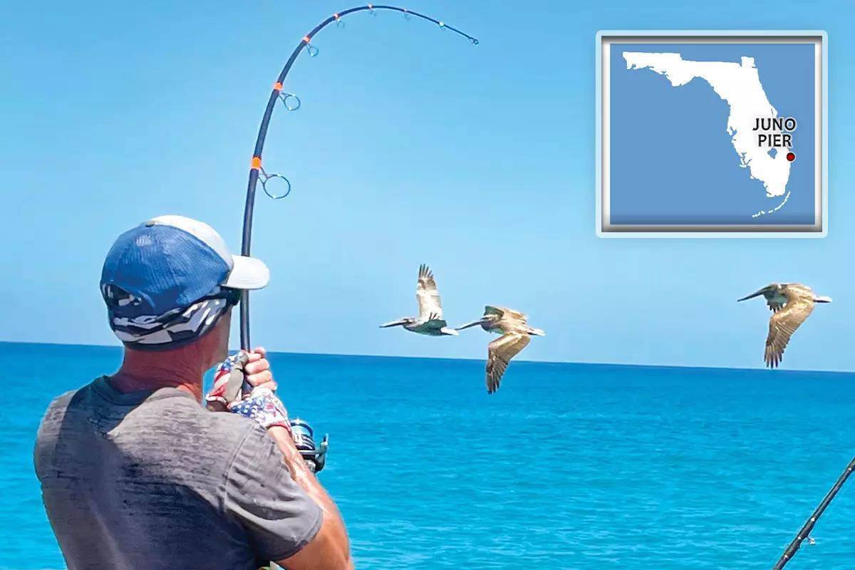 Beach to Blue Water: Somebody's Always Catching Something at Juno Pier