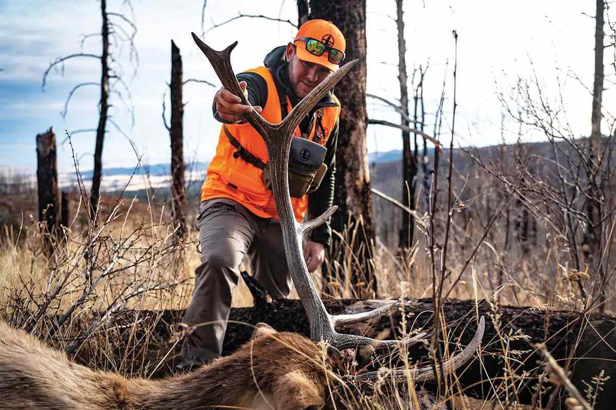 hunter with elk