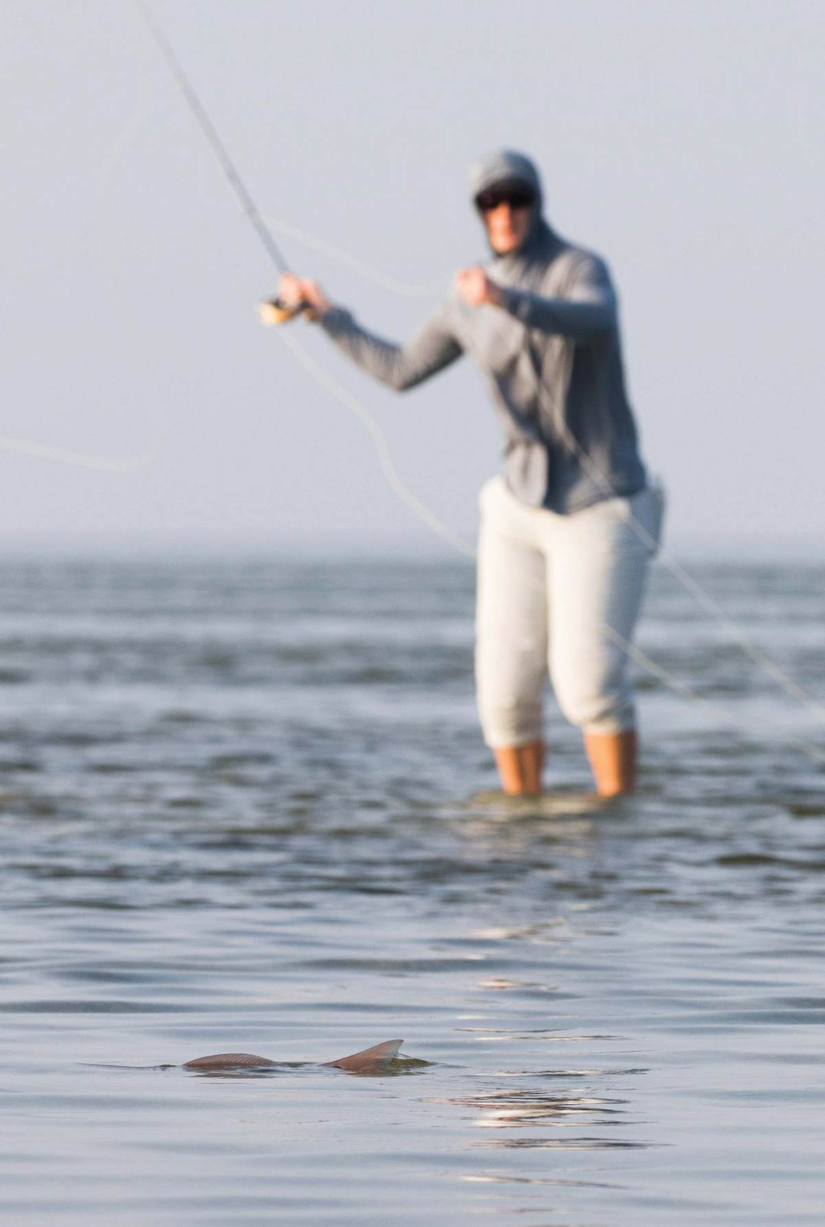 ISLAND ANGLER'S GUIDE TO Saltwater Shore Casting for Salmon and