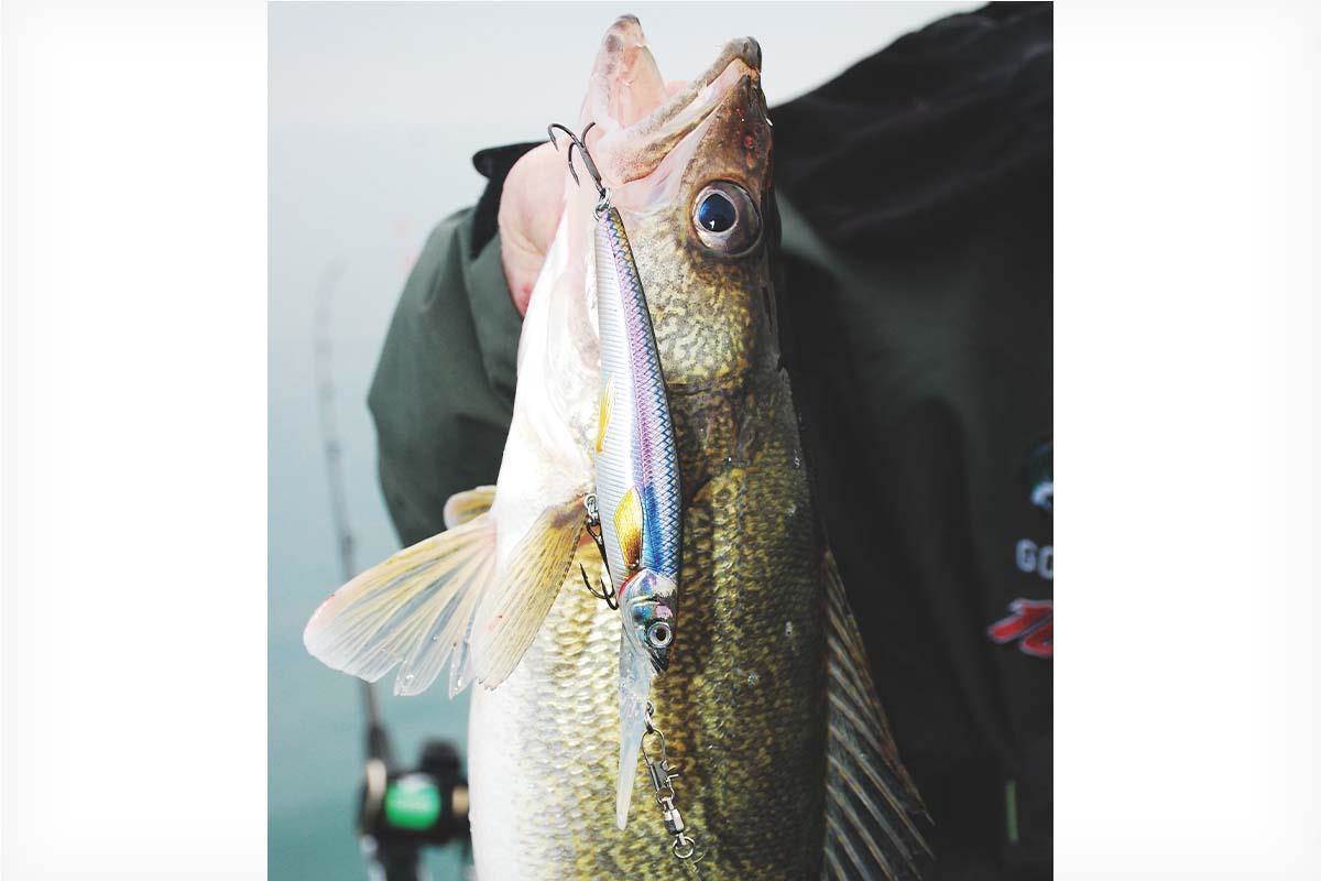 Record ND walleye caught, Blade baits still overlooked, More