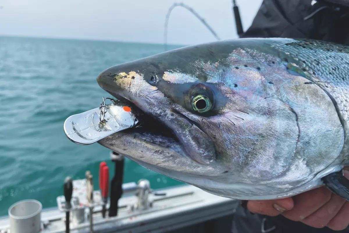 Big-Water Blessings: Spring Trout and Salmon on Lake Michigan