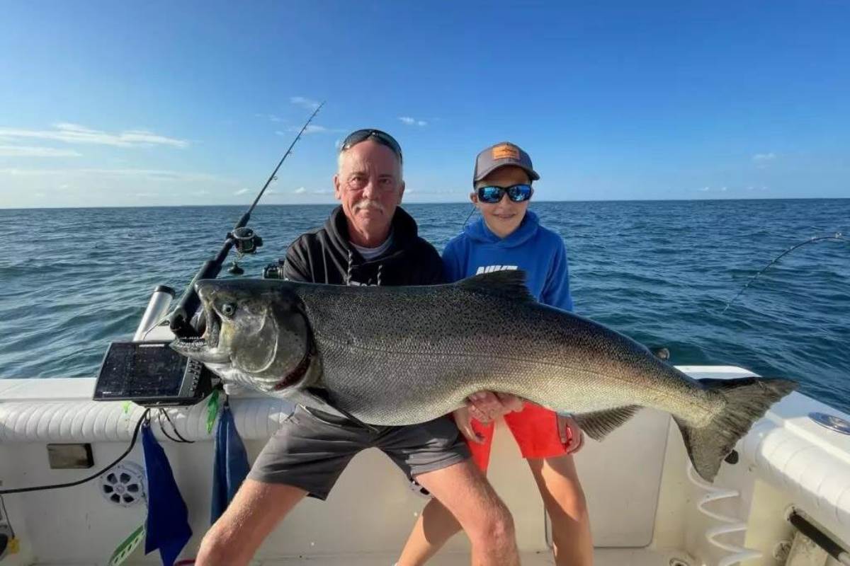 Chinook Salmon Strikes a Downrigger Rod on Lake Ontario - DR1 