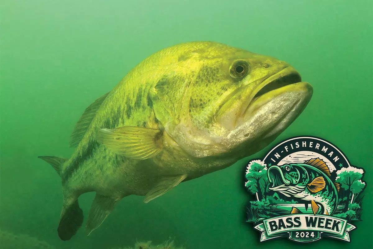 Bass Week: Largemouth Bass, Temperature, & Thermoclines