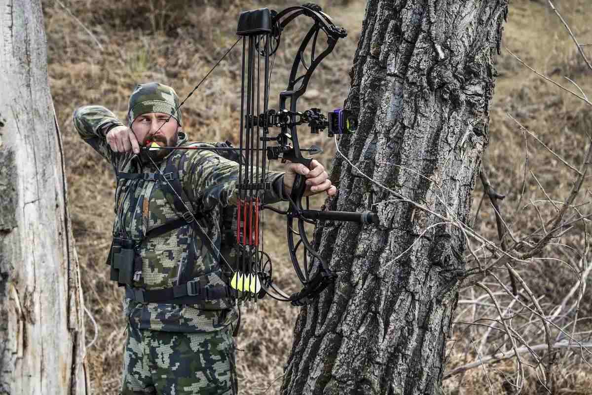 A bowhunter draws his compound bow to full strength. 