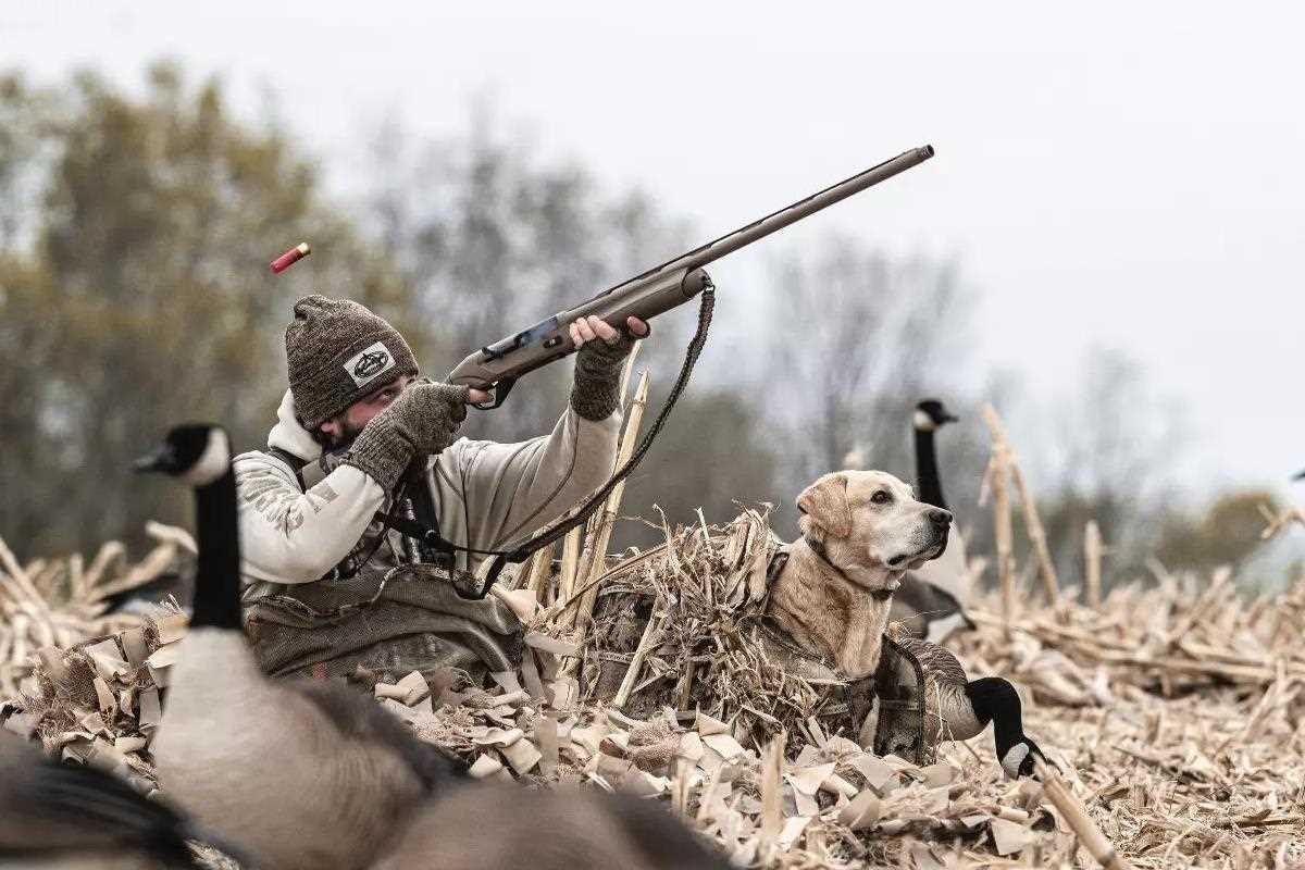 Using Layout Blinds to Hunt Ducks and Geese