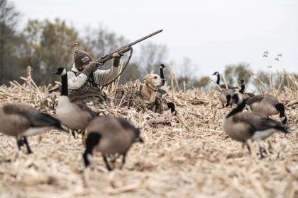 Why All the Fuss Over Hybrid Ducks? - Wildfowl