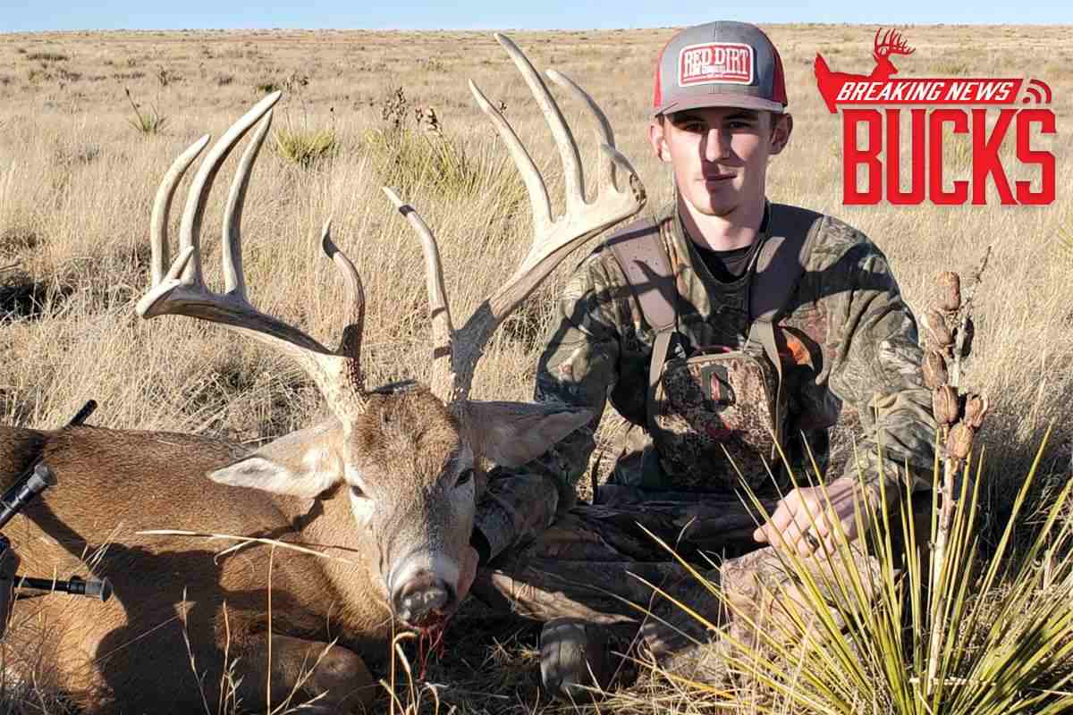 Official: New Mexico Declares New State Record Whitetail Buck