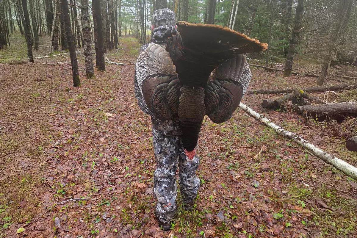 catching turkey with fish hook Maine Cast‑and‑Blast Adventure: Spring Turkeys a
