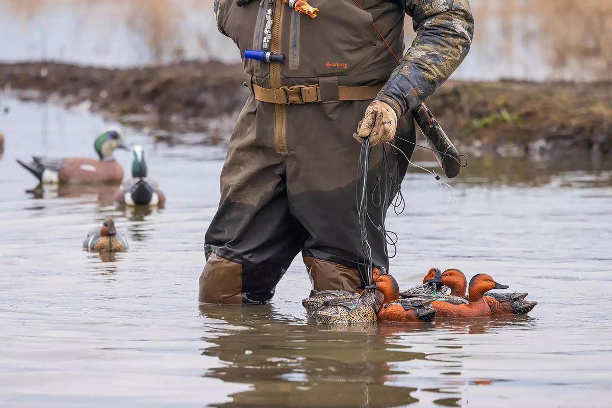 A duck hunter sets out floating duck decoys. 
