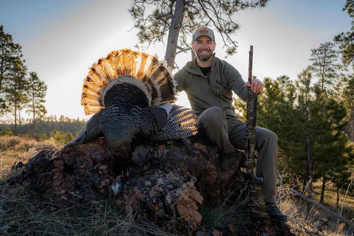 Calling All Turkeys: How To Make Gobblers Respond