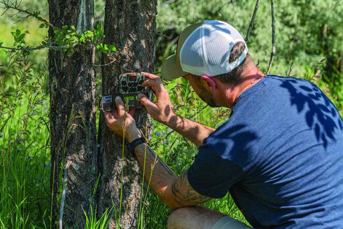 How To Manage Whitetails on Private Land: Part 3