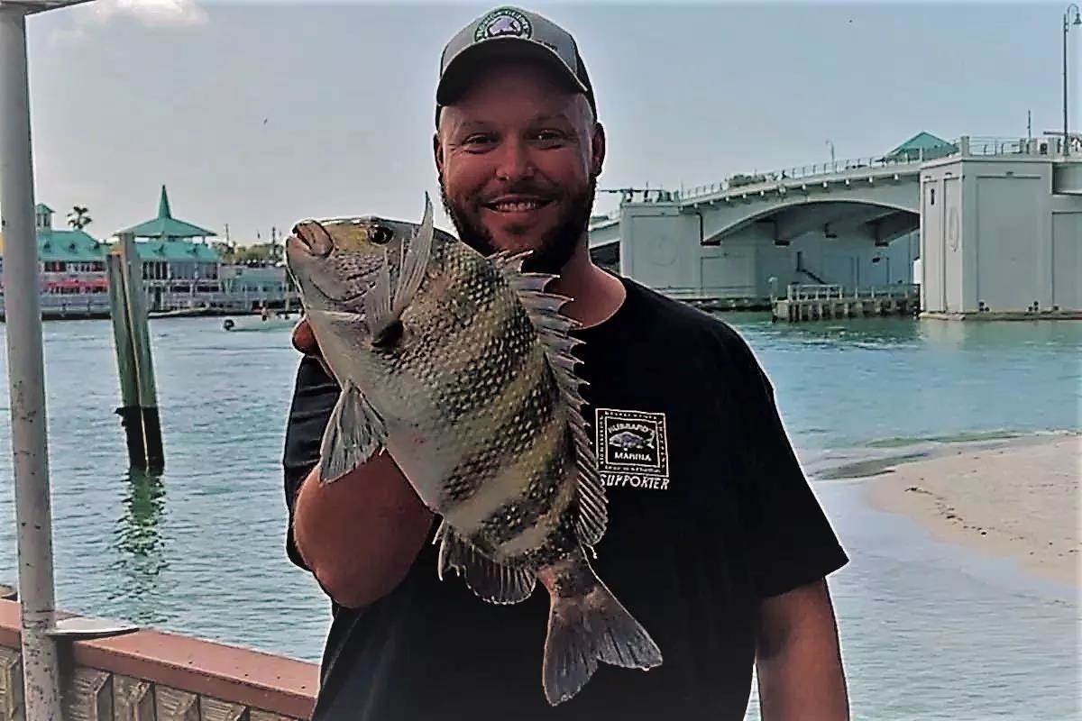 capt-dylan-hubbard-with-a-spawning-sheepshead-caught-at-hubbard-s-marina-on-john-s-pass