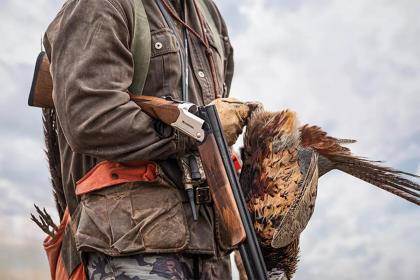 Mossberg International Gold & Silver Reserve Over/Under Shotgun Review