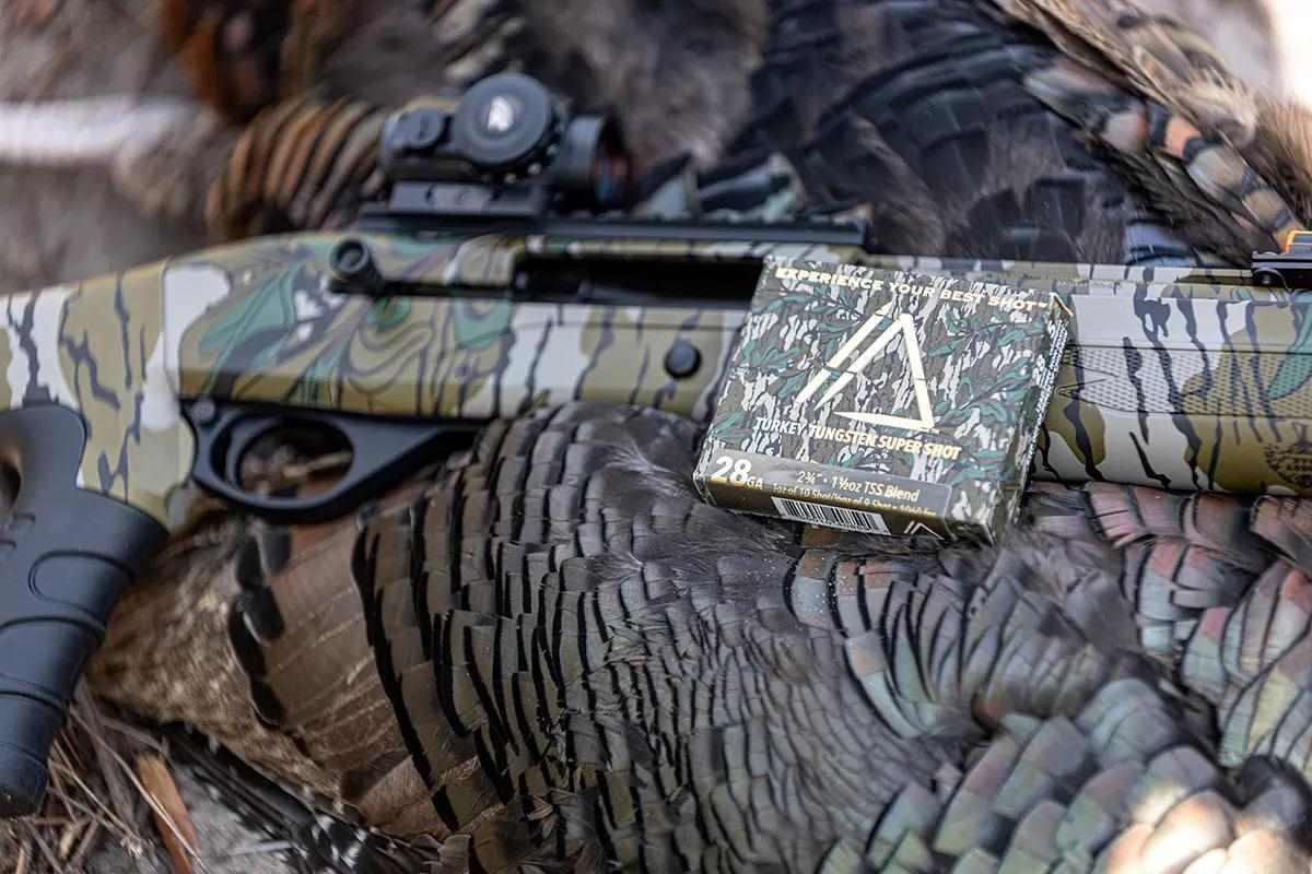 Turkey shotgun and box of TSS ammo next to dead turkey.