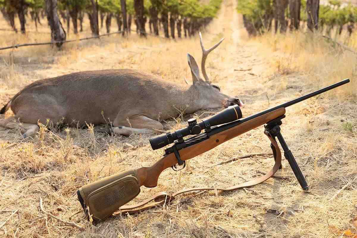 Mossberg's Patriot Rifle Toasts a Decade of Production - Petersen's Hunting