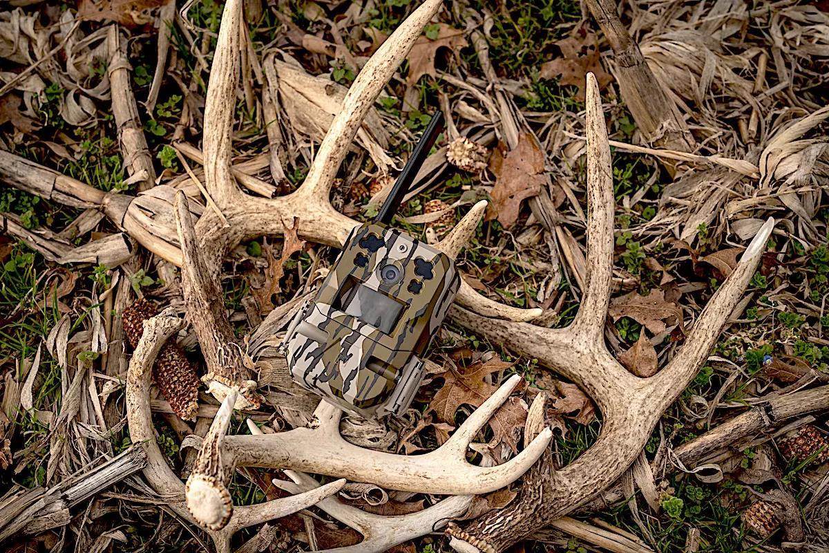 5 Ways to Use Trail Cams for Off-Season Deer Intel