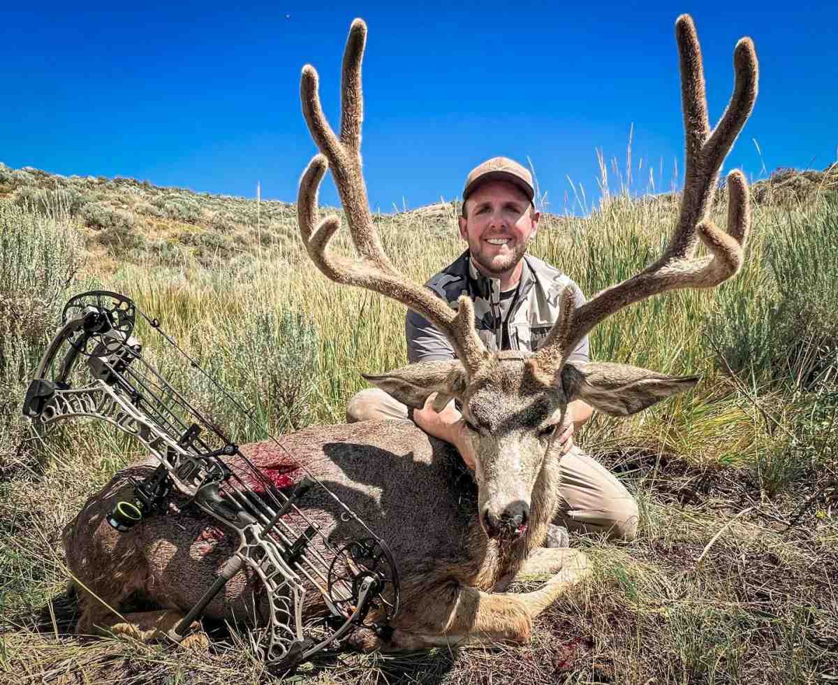 The Truth About Mule Deer Hunting Out West - Petersen's Hunting