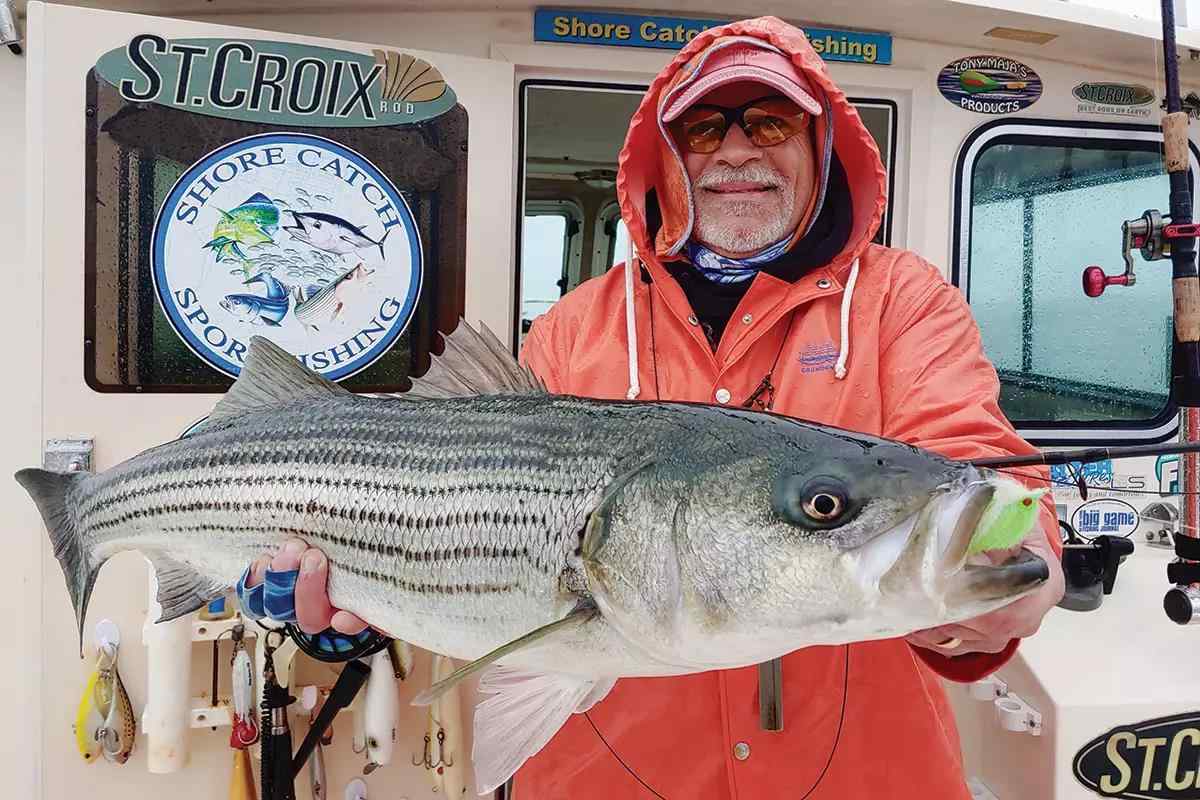 Video: How to Catch Striped Bass on a Fly, with Tom Rosenbauer - Orvis News