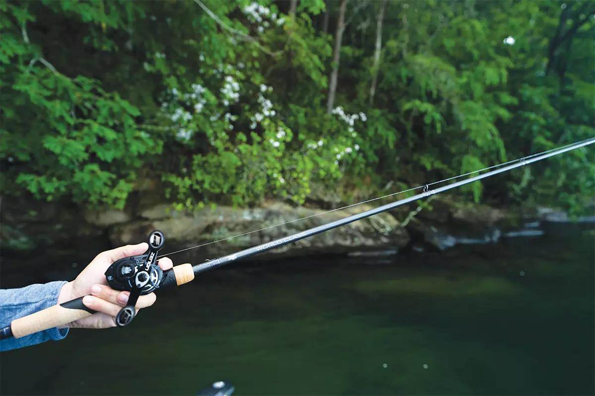 Fishing 101: A Comprehensive Guide from Essential Gear to Mastering Te –  bottlestalk