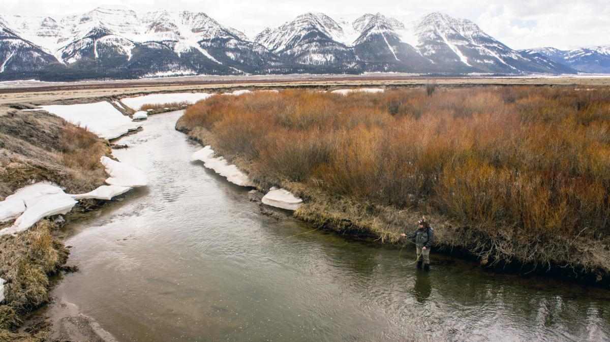 Urgent Comments Appealed for to Save Montana's Vulnerable Grayling
