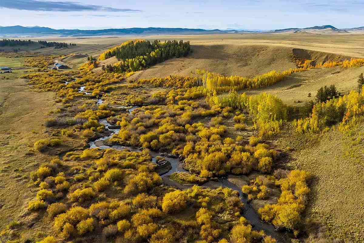 Western Rivers Conservancy Helps Open Access on Beloved Colorado Creek