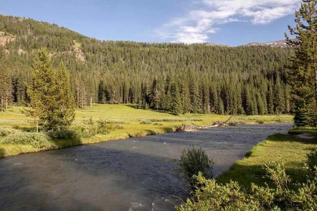 Montana FWP to anglers: catch, kill and report smallmouth bass in  Bitterroot River