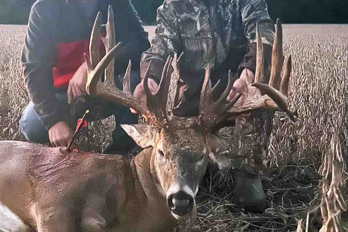 Ohio Crossbow Hunter Tags 260-Inch Giant From the Ground