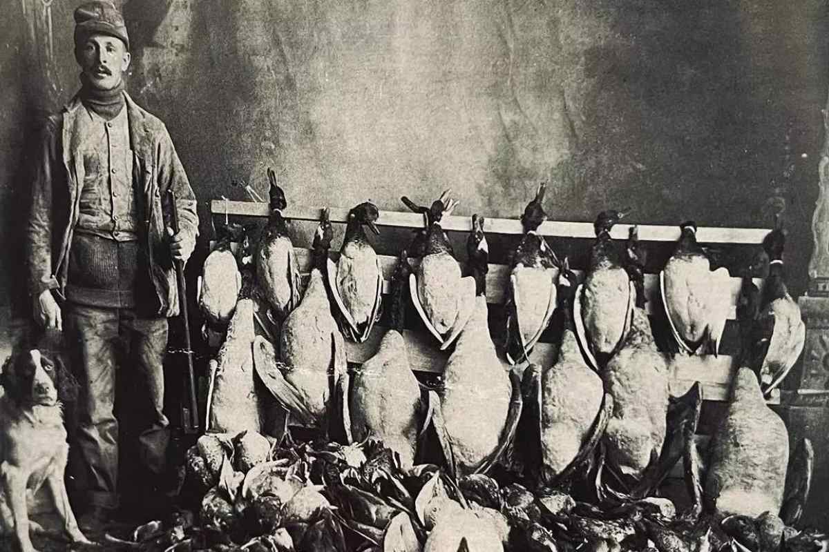 The Ethical Ways of Old Waterfowling