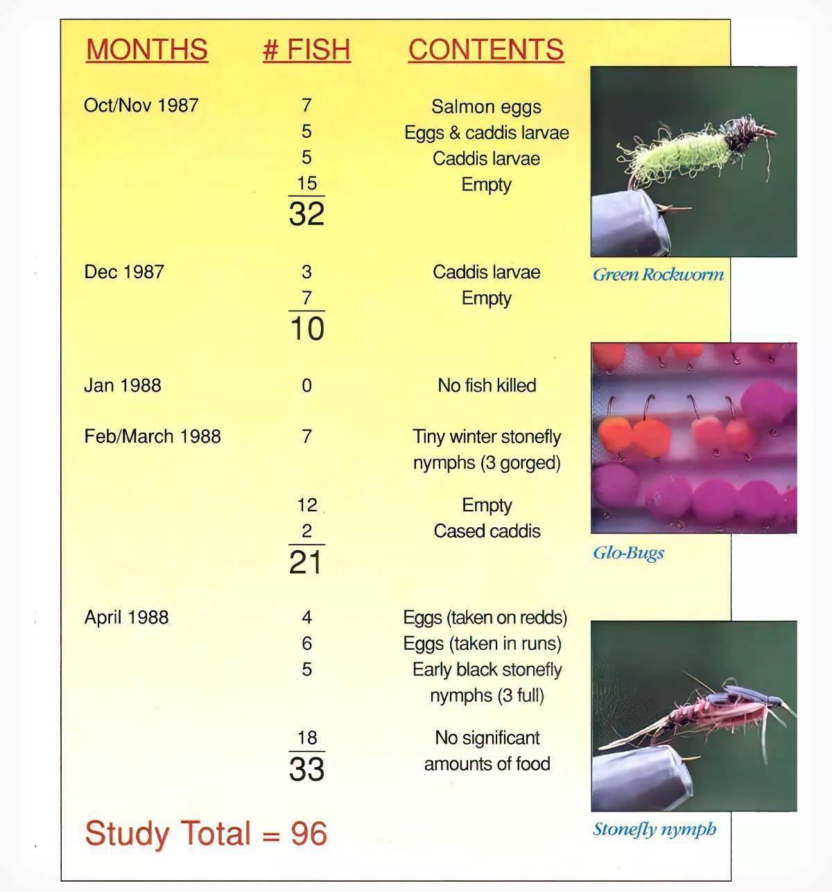 Chart showing steelhead diet study results alongside photos of eggs, larvae, and nymph fly patterns.