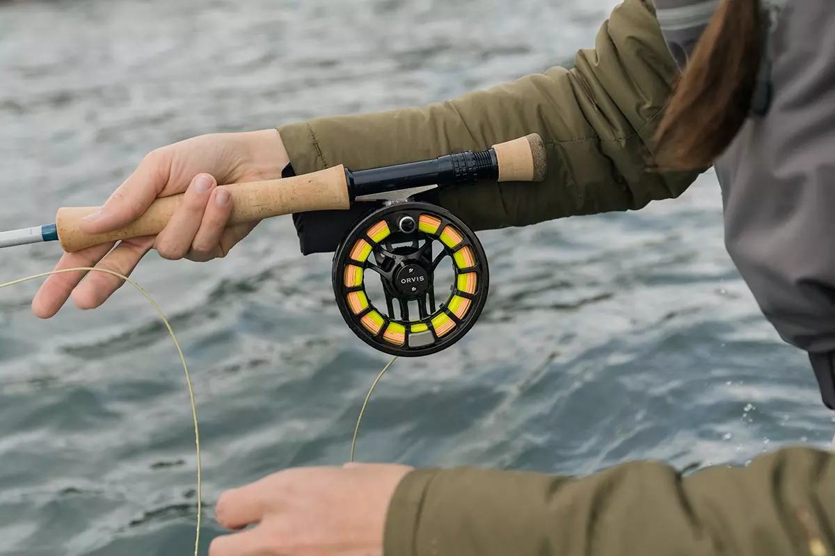reel bc shimano caius 201 Shimano Caius B Baitcasting Reels