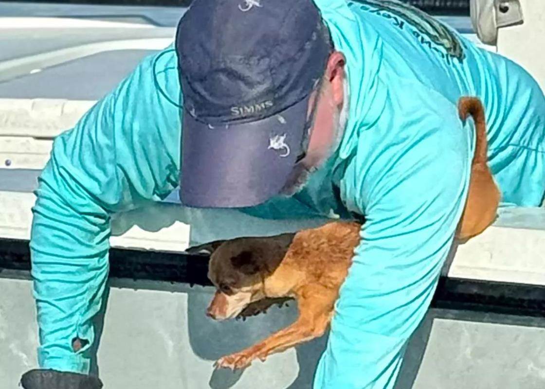 Outdoor Happening: Power of Pawsitive Thinking - Florida Sportsman