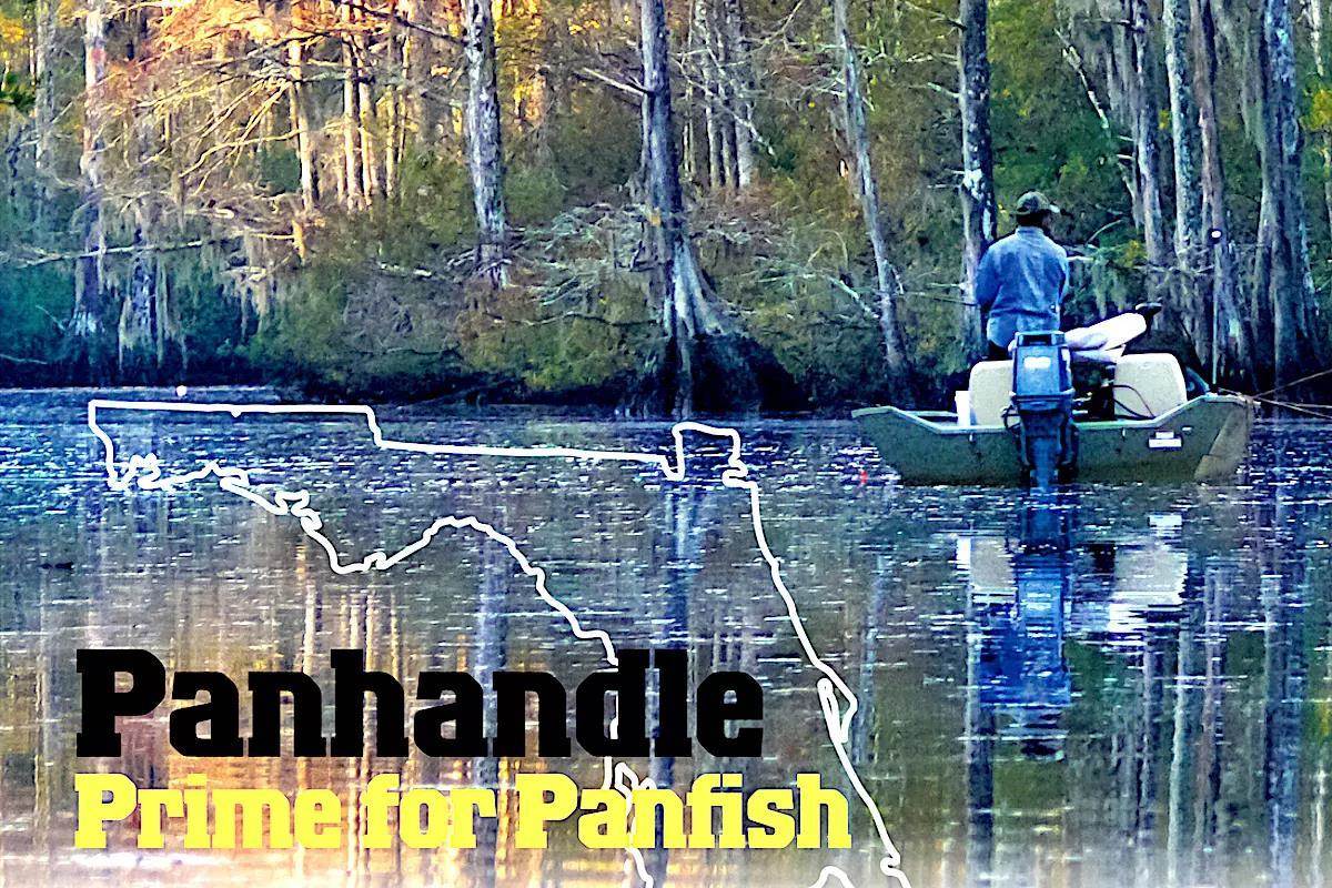 Catch Your Fill of Panfish on the Panhandle