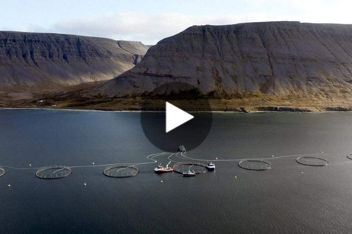 Patagonia Launches Film Denouncing Salmon Farming in Iceland