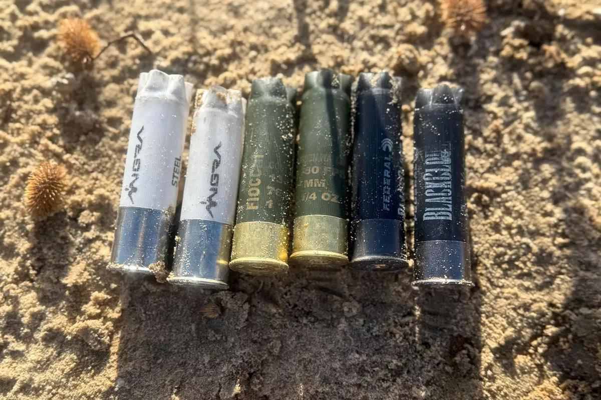 Shotgun shells