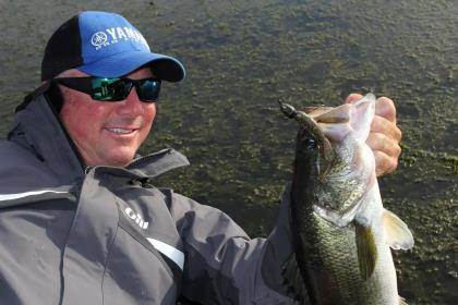 Bass - Jigs, Rigs, Baits, Lures & Locations - In-Fisherman