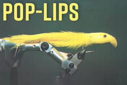 articulated bass lures with lips Pop-Lips: The Crankbait-Style Fly That Changed Bass and Salt