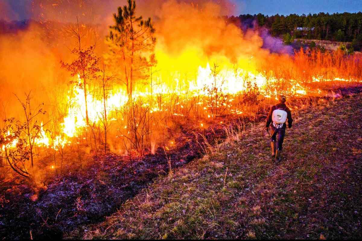 What You Need To Know When Performing Controlled Burns