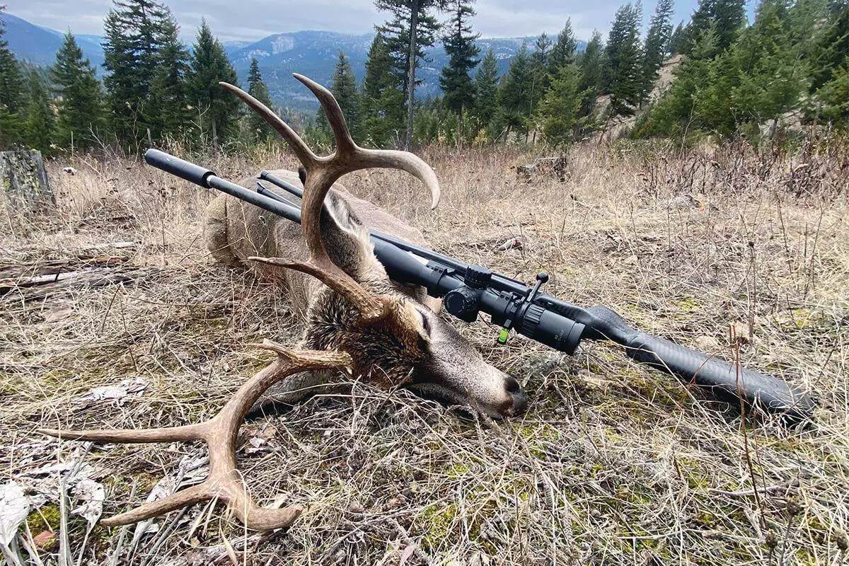 Proper Rifle Selection Begins with the Bullet - Petersen's Hunting