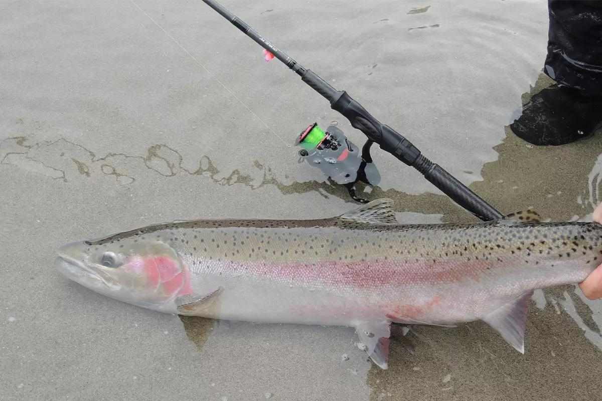 best rod and reel for steelhead fishing Okuma X-Series Salmon & Casting The backbone of the x Spinning Reels Best Saltwater Fly