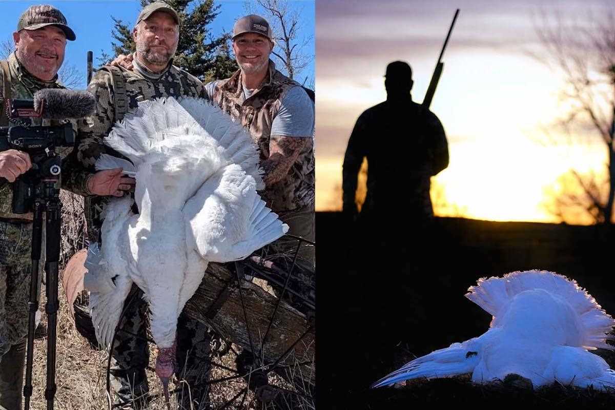 hunter with albino turkey