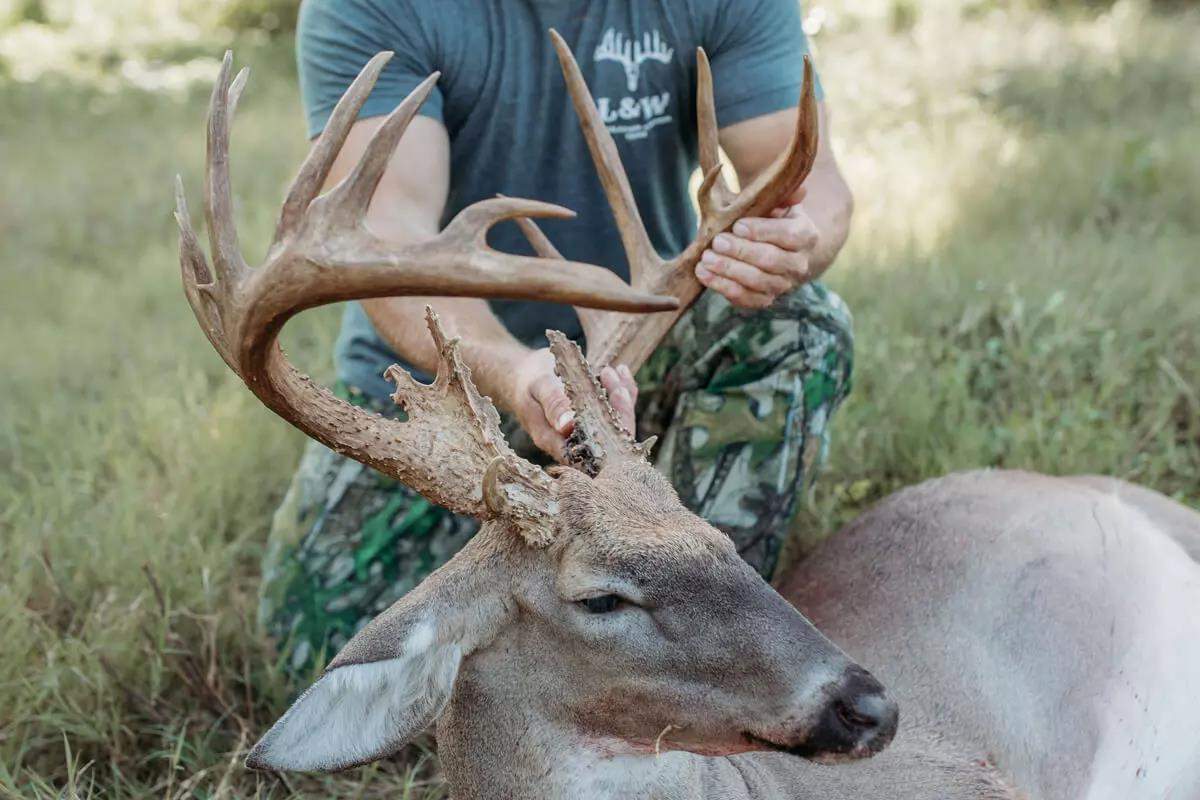 Rare Florida Giant: Hunter Finally Tags Massive 181-Inch Buck