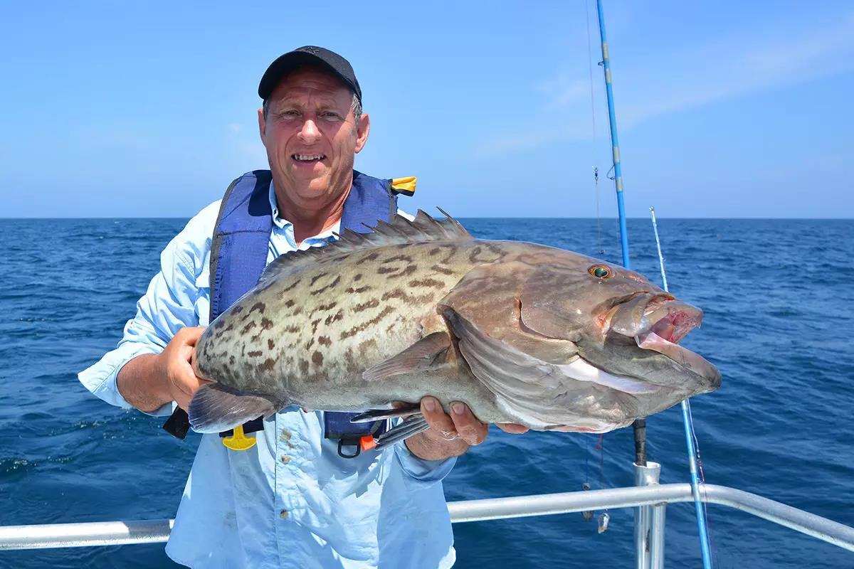 Recreational Gag Grouper Season Scheduled to Close Early: What You Need to Know