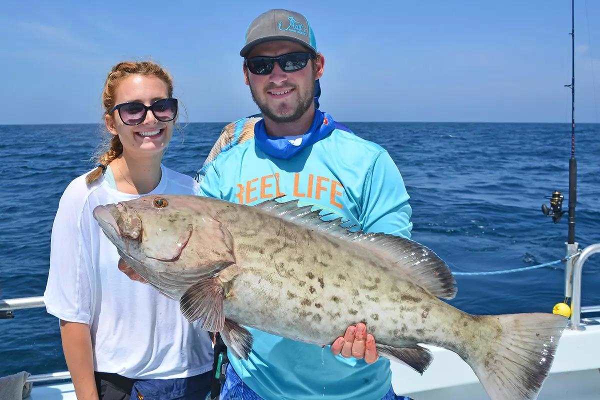 Trolling for gag grouper, an AMAZING DAY!!!  What a day we had trolling  for gag grouper, we limited out and started throwing them back we caught so  many. Manns stretch 25