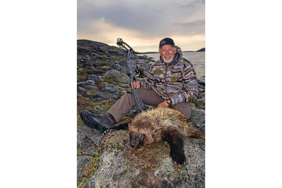 curt wells bowhunting downed wolverine in Nunavut 
