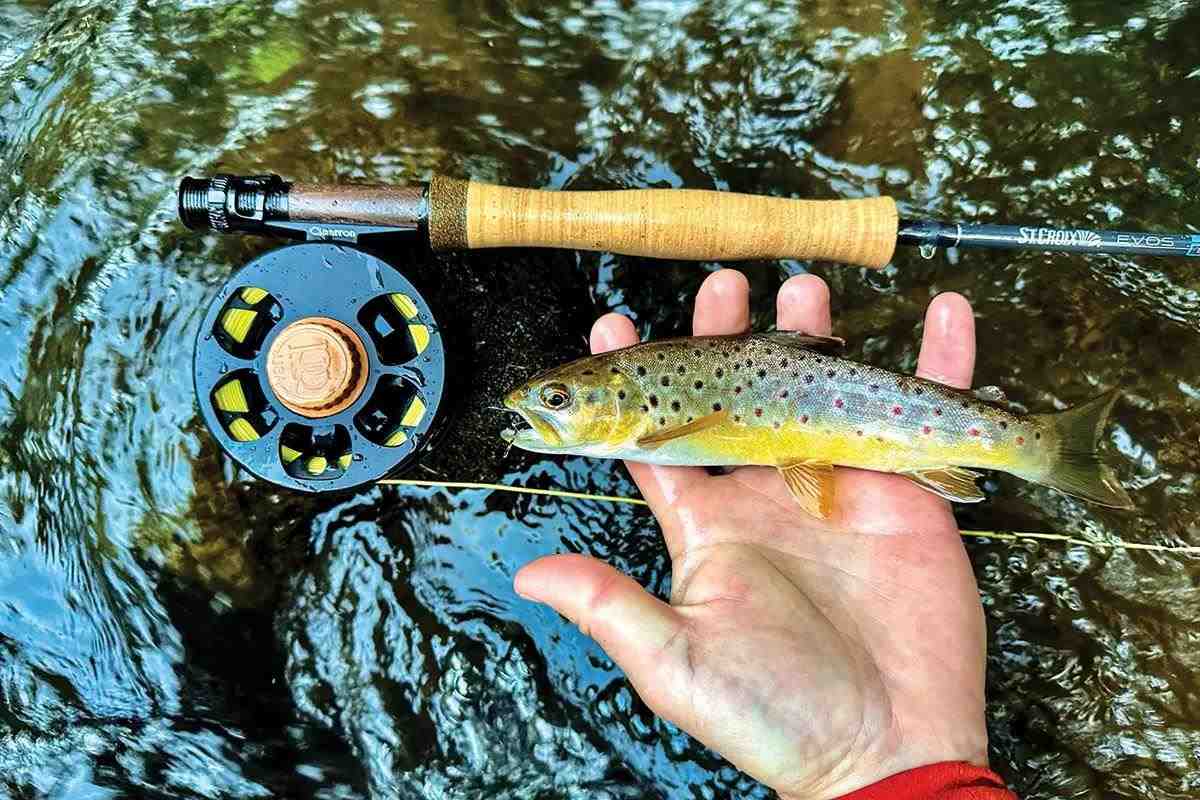 Best Fly Fishing Reels 2024 - Buying Guide and Reviews in 2024