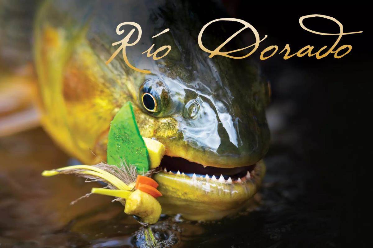 Rio Dorado: Argentina's Most Challenging and Unusual Dorado Fishery