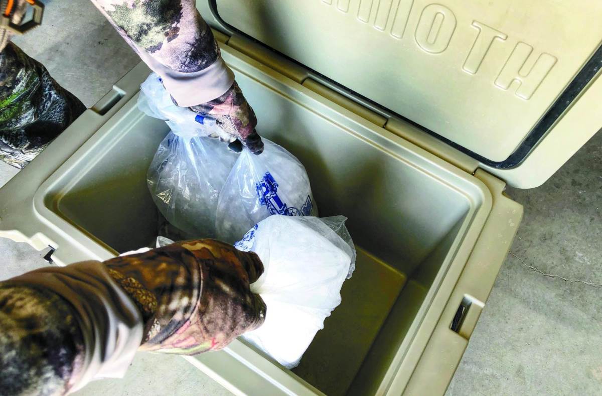 packing_a_cooler_with_blocks_of_ice_for_possible_meat_storage_copyright_mark_kayser