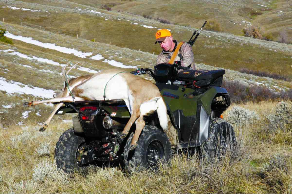 Tips To Make Your Next Road-Trip Hunt Successful